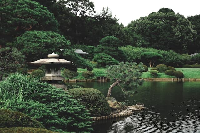 Royal Tasmanian Botanical Gardens