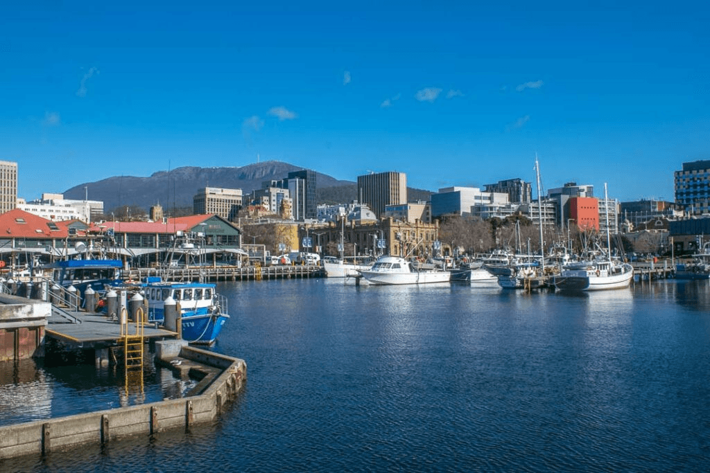 Welcome to Tasmania